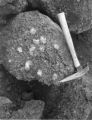 Calcite formation on cinders in Mud Spring Cinder Pit