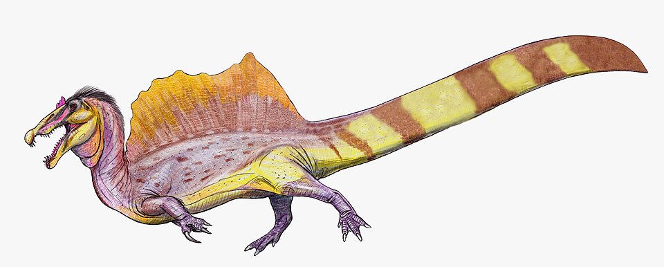 Restoration of Spinosaurus