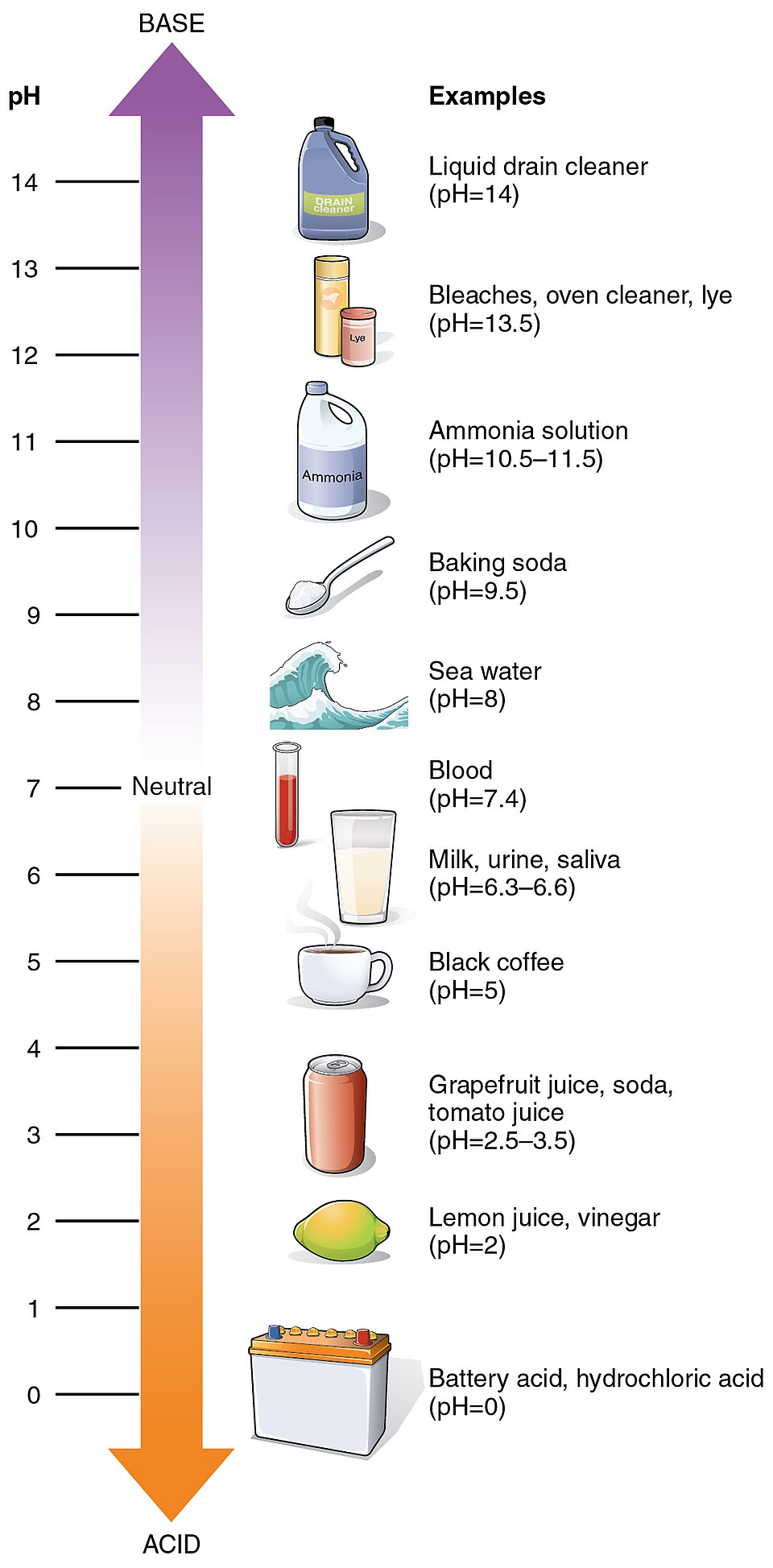 pH values of some common substances