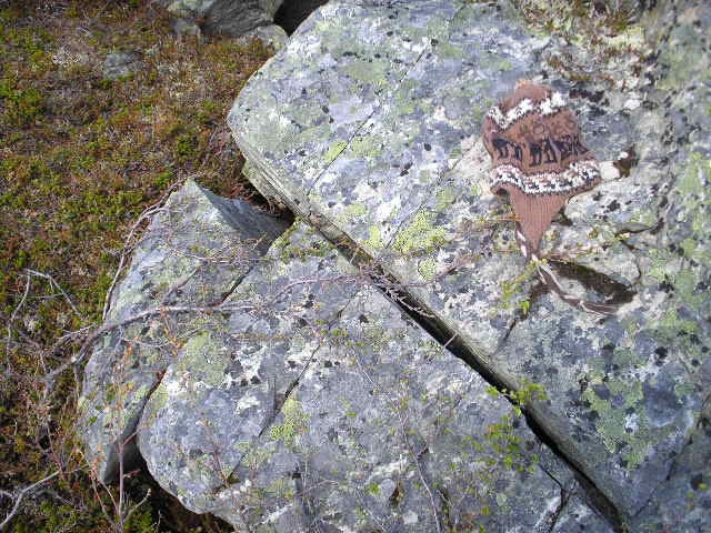 A rock in Abisko,Sweden fractured along existing joint geology joints possibly by frost weathering or thermal stress