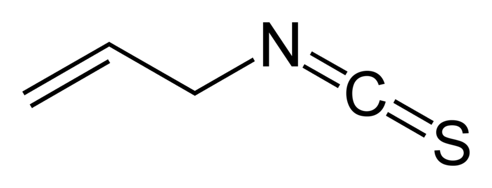 Allyl isothiocyanate is the pungent ingredient in fresh horseradish sauce.