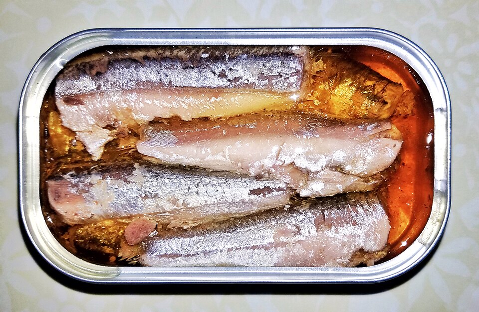Canned Anchovies