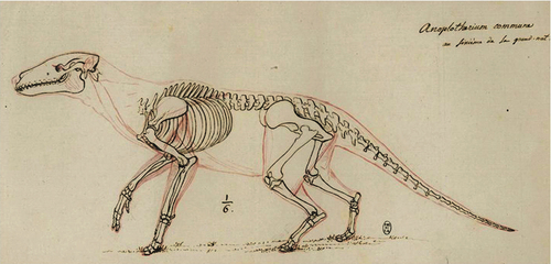 The discoveries of different layers of fossils, such as those containing Palaeotherium and Anoplotherium (pictured), by Georges Cuvier led him to believe that series of catastrophic events wiped out worlds before the modern one.