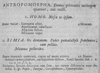 Detail from the 6th edition of {{lang|la|Systema Naturae}} (1748) describing Anthropomorpha ( = Primates) with a division between Homo and Simia