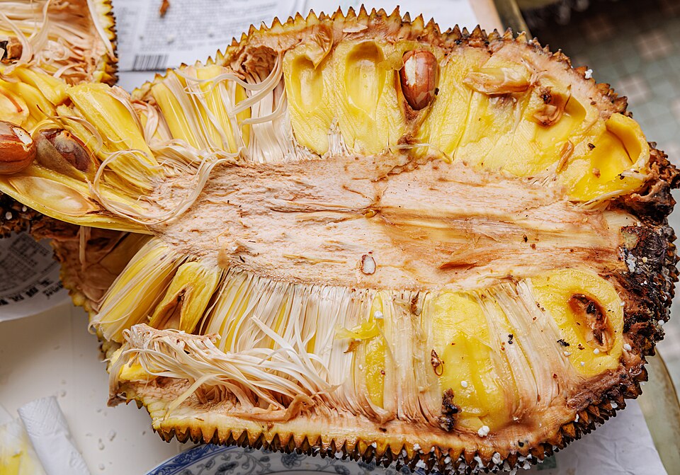 Inside of a Jackfruit