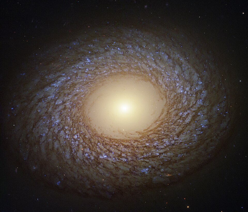 NGC 2775 galaxy in the constellation of Cancer.