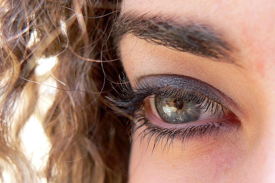 Human eye decorated with cosmetics