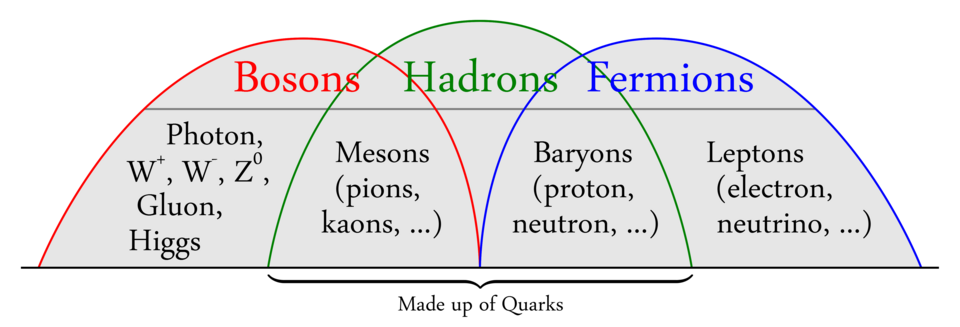 How hadrons fit with the two other classes of sub atomic particles, bosons and fermions.