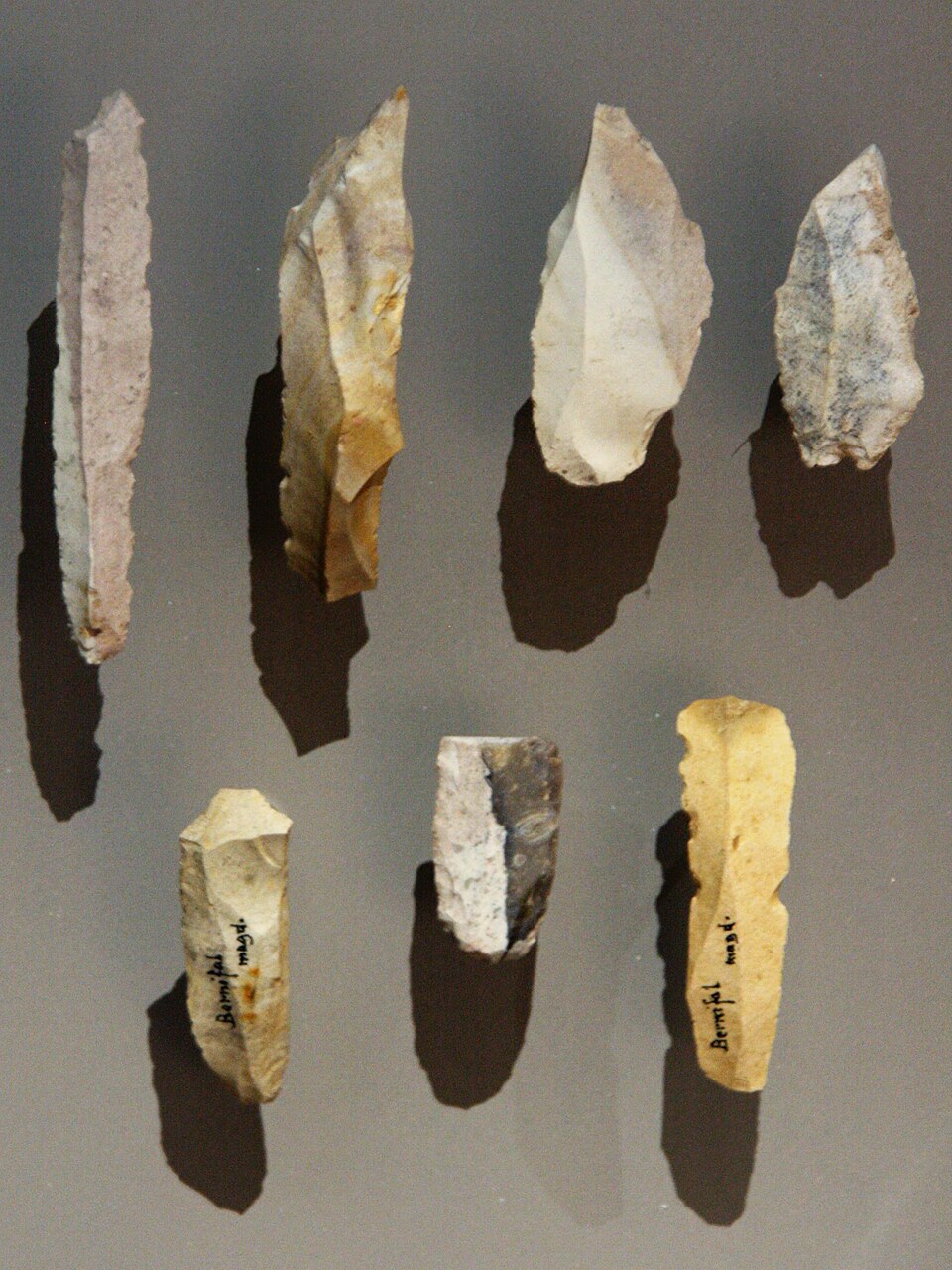 Later Palaeolithic blades made by Homo sapiens