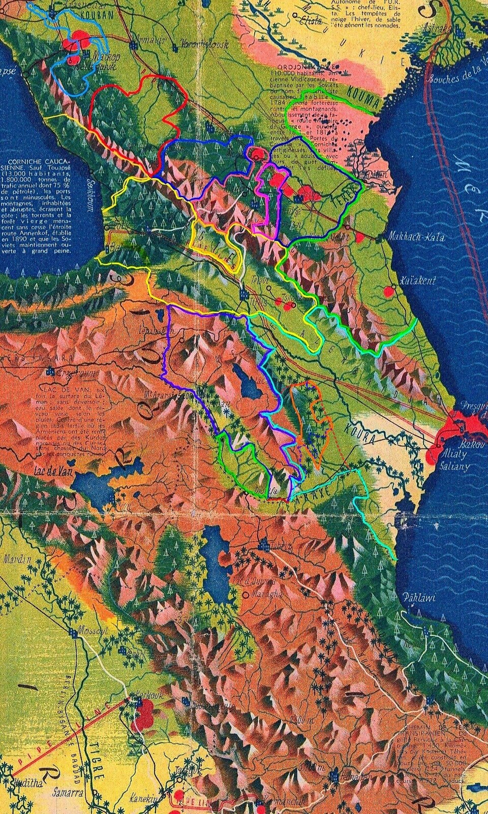 CAUCASIA~Vegetation Land Cover with ethnic borders