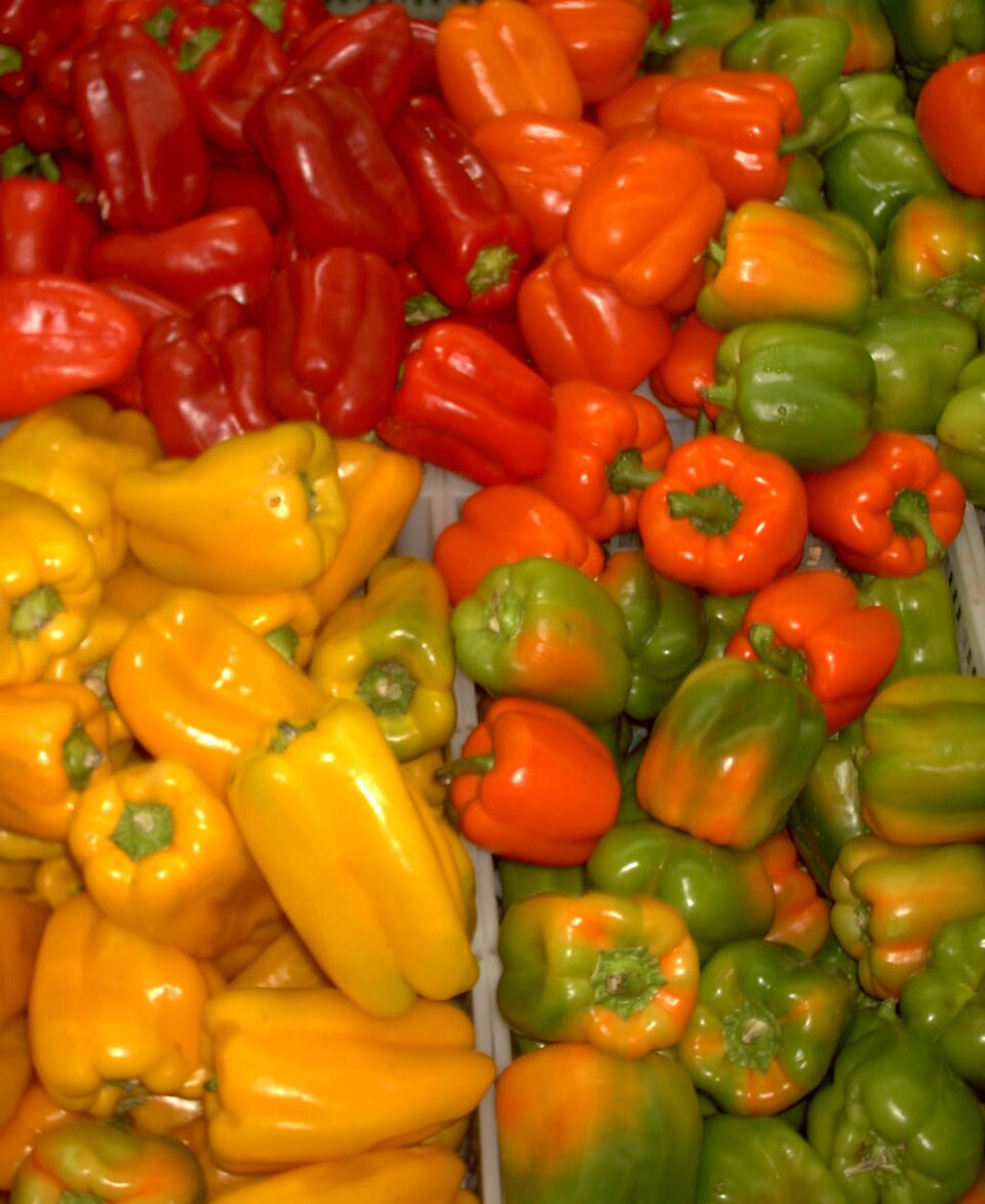 Green, yellow and red peppers