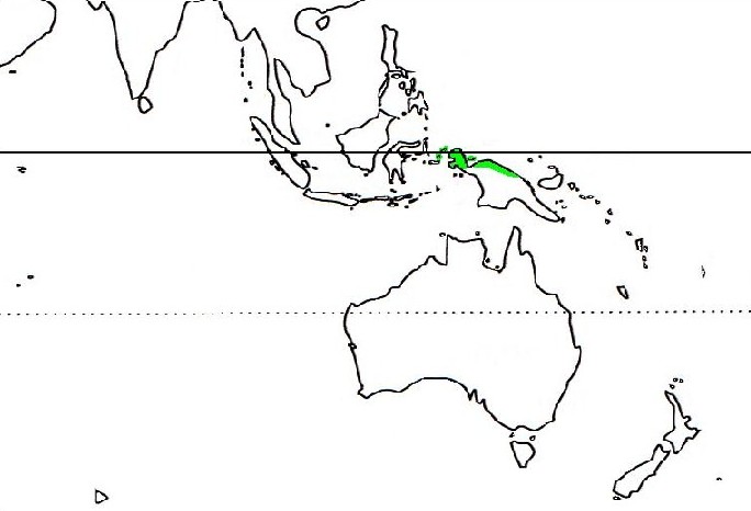 Where the northern cassowary lives