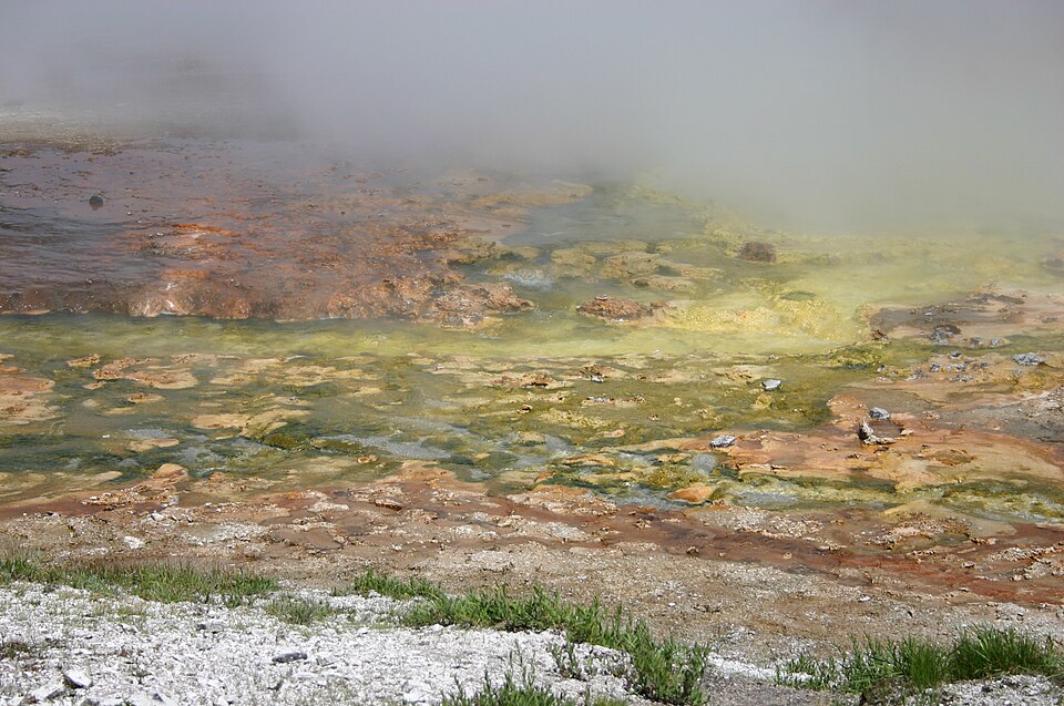 Colourful archaea at Midway geyser