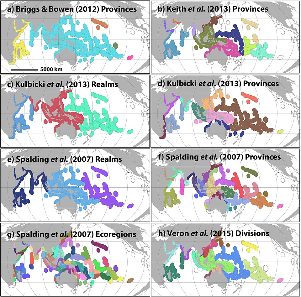 Biogeographic regionalizations that were tested using model selection with analysis of molecular variance(AMOVA) by Crandall et al. 2019. Colours represent different regions within a scheme.