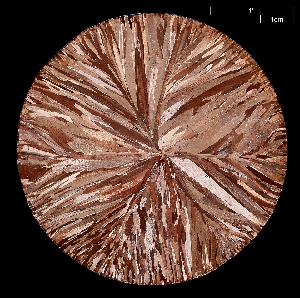 Copper disc, acid etched, you see the normally invisible crystalline structure