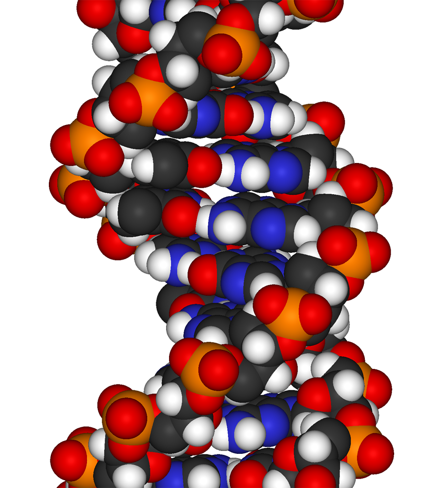 DNA is a very complicated molecule and essential for all known life.