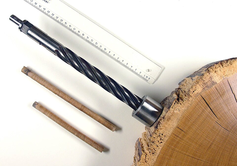 Drill for dendrochronology sampling and growth ring counting