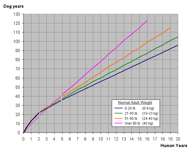 This graph shows the correlation between weight and lifespan.