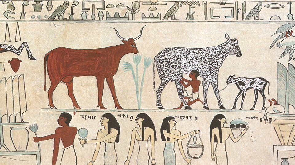 Cattle in Ancient Egypt