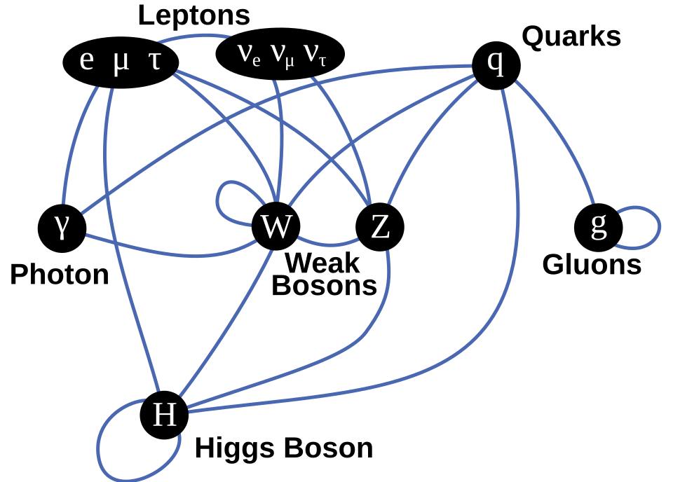 The elementary particles from which the Universe is made. Six leptons and six quarks are most of the matter; for example, the protons and neutrons of atomic nuclei are made of quarks, and the electron is a lepton. These particles interact via the gauge bosons shown in the middle row, each corresponding to a particular type of gauge symmetry. The Higgs boson is believed to confer mass on the particles with which it is connected.