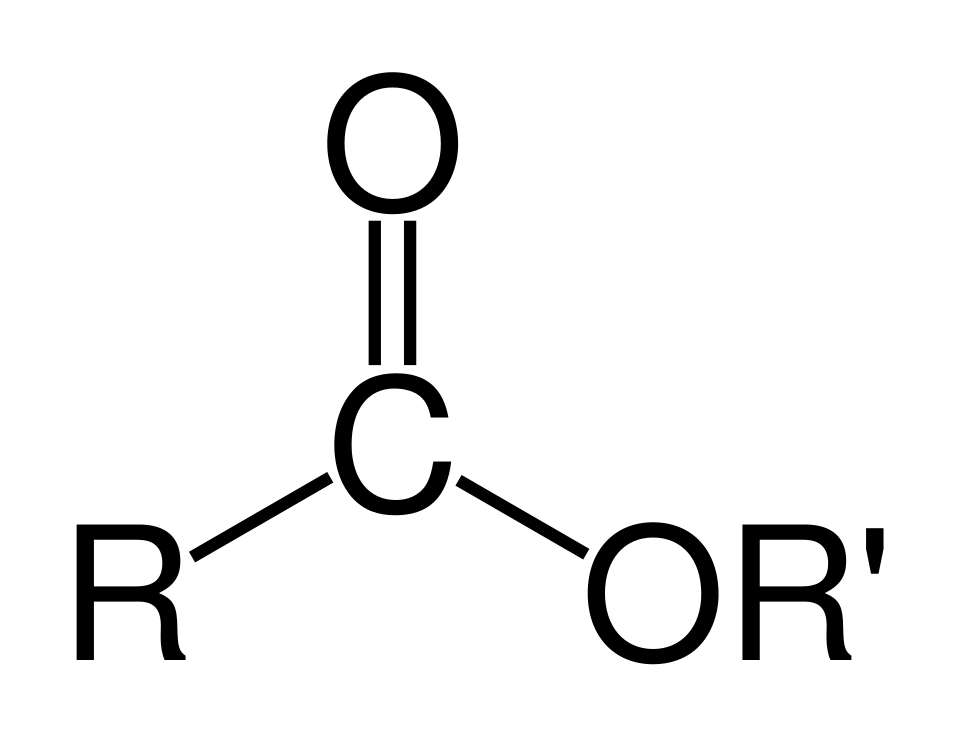 A carboxylate ester. R and R' denote any alkyl or aryl group. R can also be a hydrogen atom