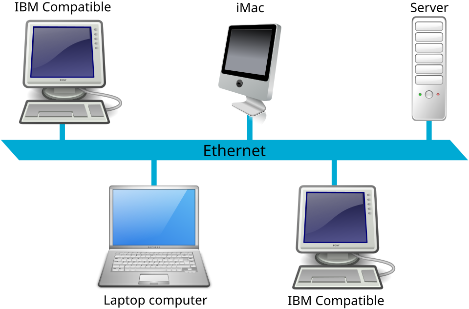 How a local area network using Ethernet might be connected
