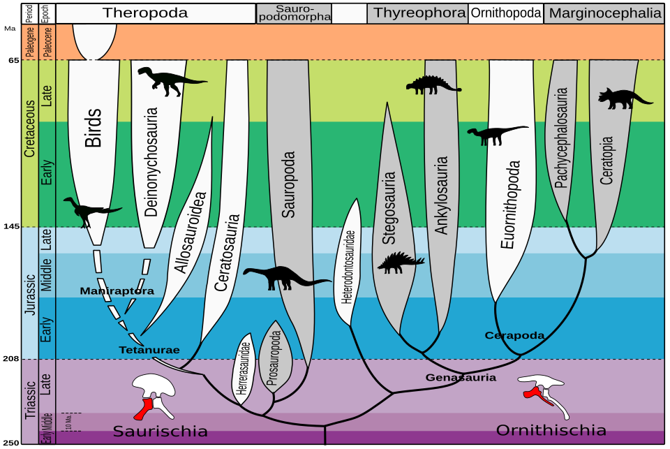 Evolution of dinosaurs