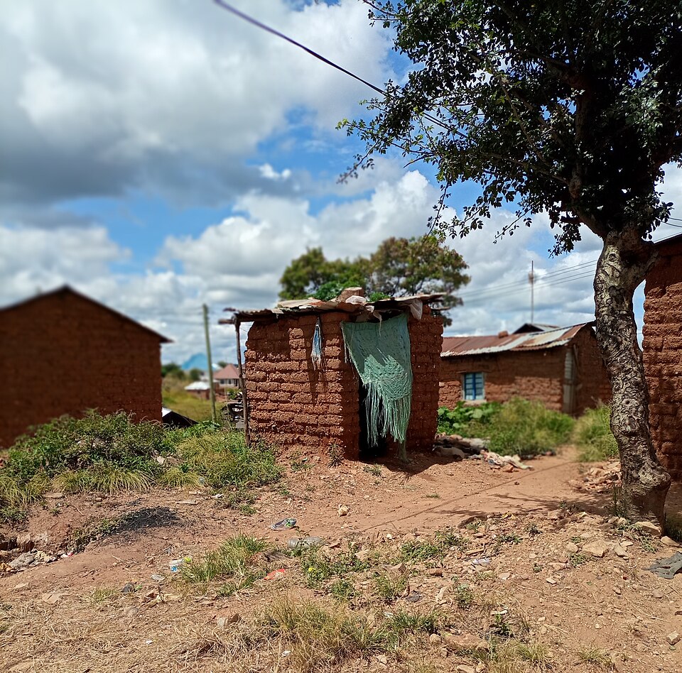 Family toilet in Tanzania.