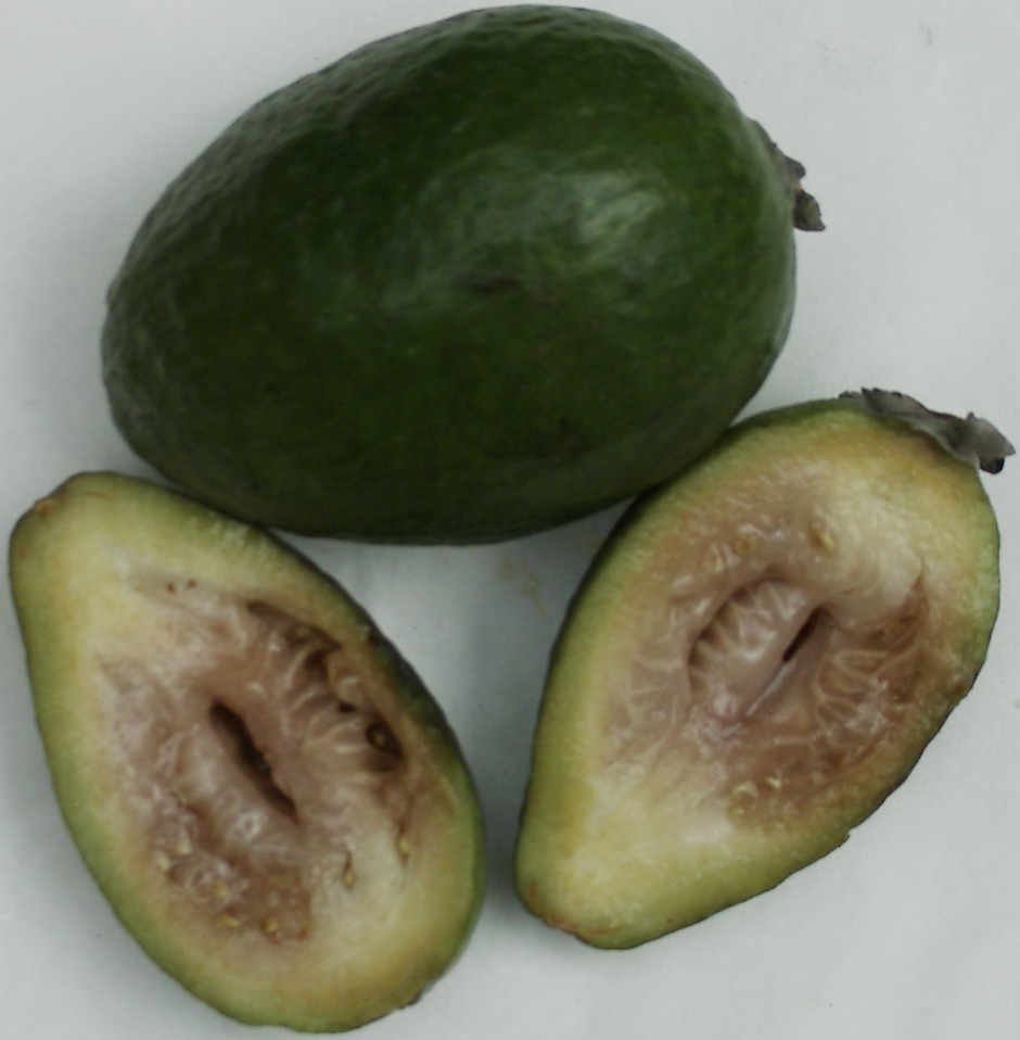 Cut overmature fruit