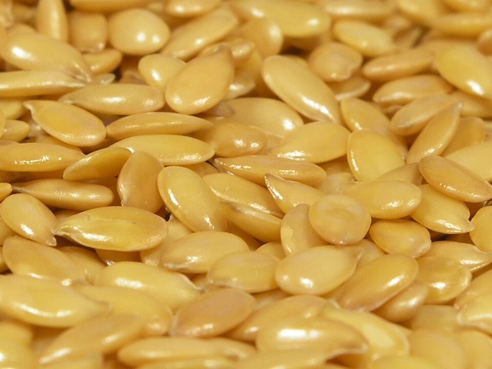 Flax seeds