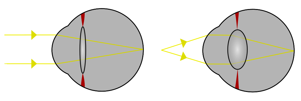 Light from a single point of a distant object and light from a single point of a near object being brought to a focus