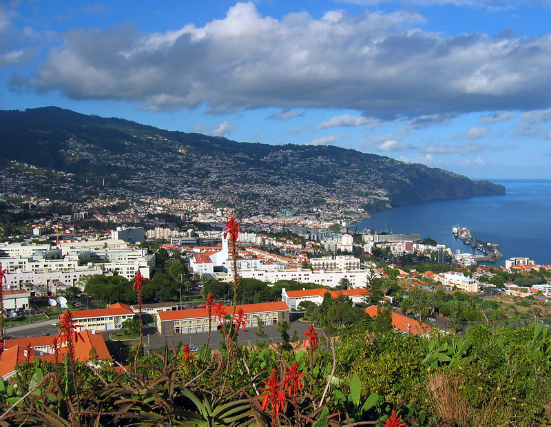 The town of Funchal, capital of Madeira.