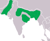 Gharial Distribution