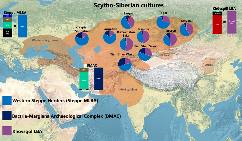 Genetic makeup of the Saka and Scythian cultures: The Scytho-Siberian world is characterized by an admixture cline between Western Steppe Herders (Steppe MLBA/Sintashta/Andronovo/Srubnaya) and Khövsgö LBA herders (Mongolia), with additional varying degrees of BMAC-like (Neolithic Iranian) ancestry. Iron Age Turkmenistan/Uzbekistan and Kisrov Kushan samples displayed a similar pattern of Steppe MLBA and BMAC-like ancestries, but lacked the Khövsgöl LBA component.
