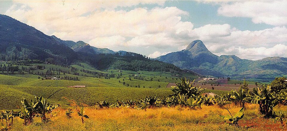 Mount Murresse and tea plantations near Gurúè, Zambezia Province, northern Mozambique