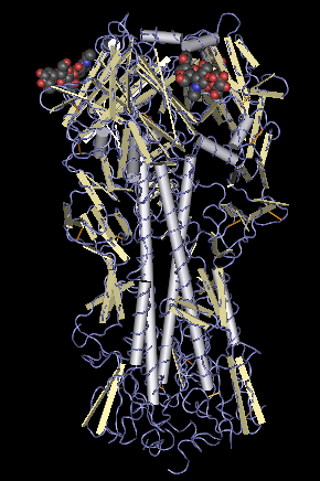 Simplified model of a protein found on the surface of the influenza virus