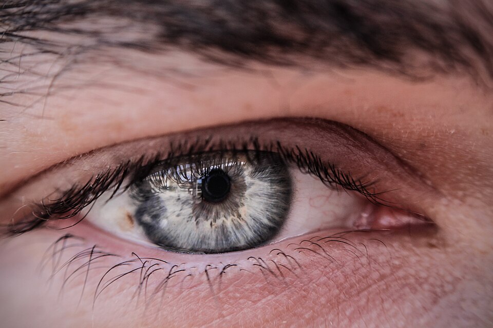 Eyes