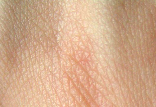 Close view of the skin on a human hand.