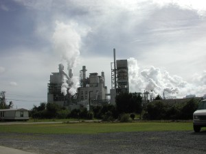 International Paper is the world’s largest pulp and paper maker