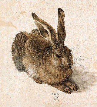 Painting of a young rabbit, by Albrecht Dürer, done in 1502