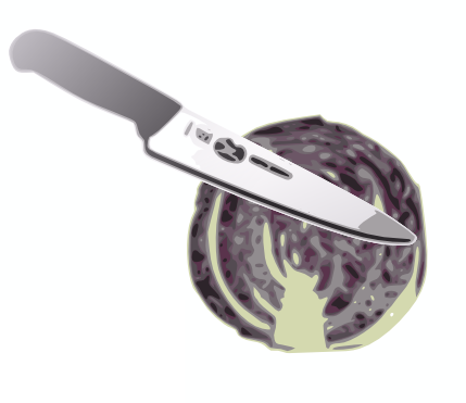 Red cabbage indicator