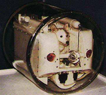 Laika the space dog.