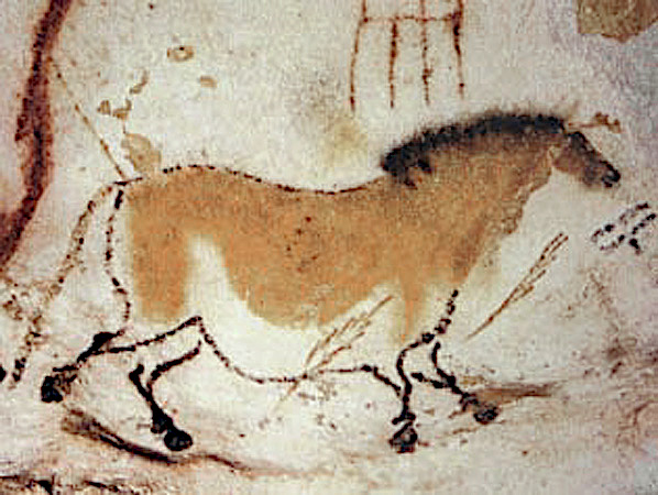 Image from the Lascaux caves. This cave painting is about 17.000 years old.