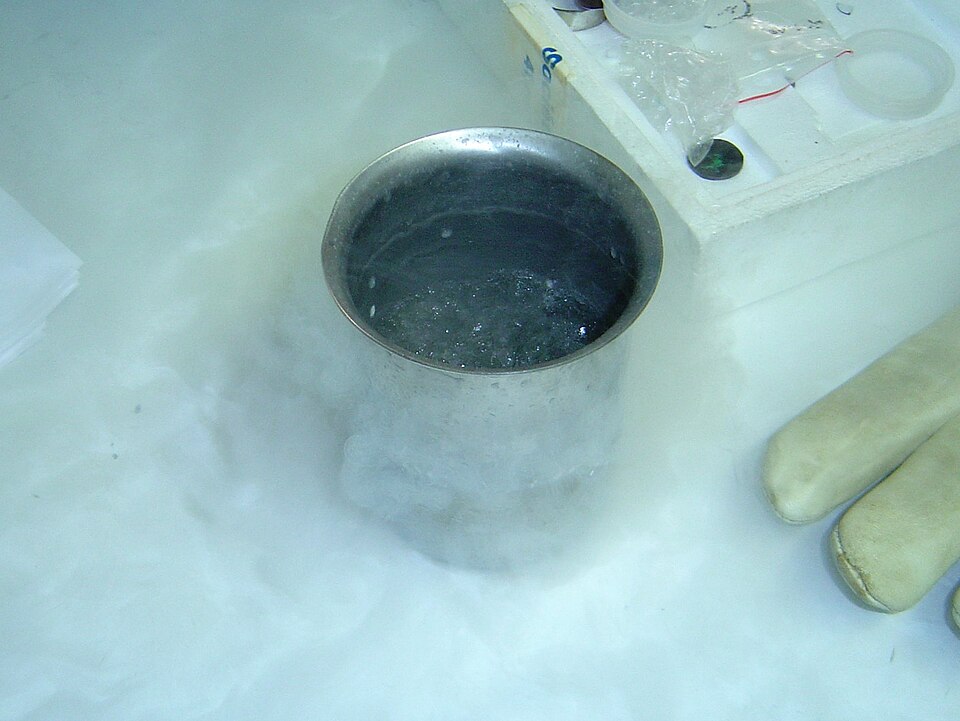 Cup of liquid nitrogen
