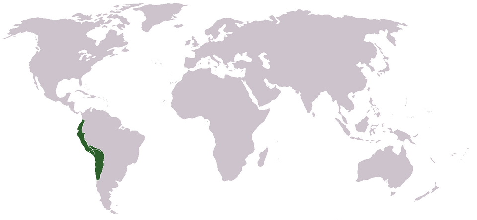 Location of the Inca Empire