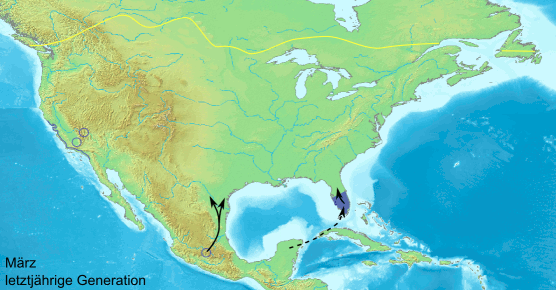 Monarch migration route