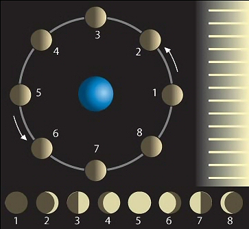 The phases of the Moon