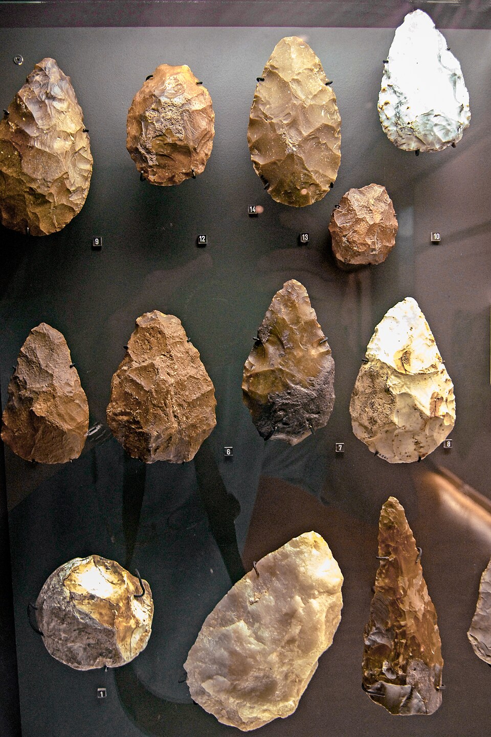 A group of typical hand axes
