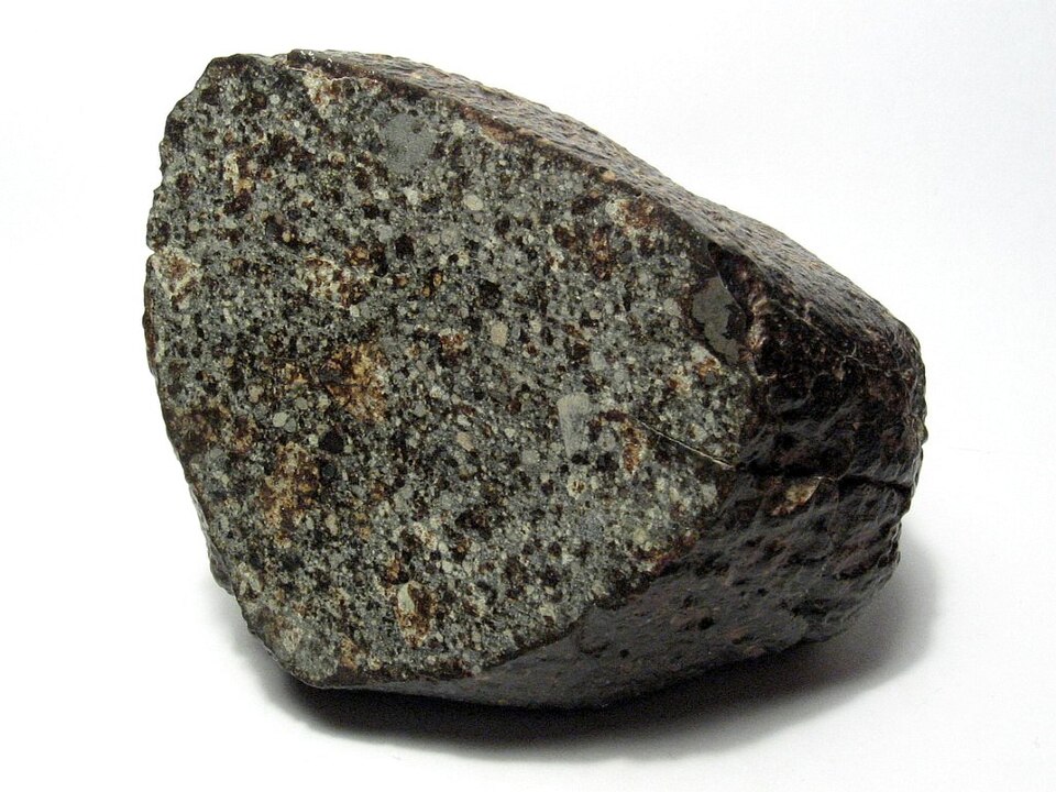 A specimen of the NWA 869 chondrite (type L4-6), showing chondrules and metal flakes