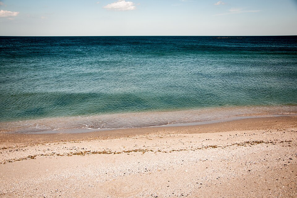 Ocean and beach shore